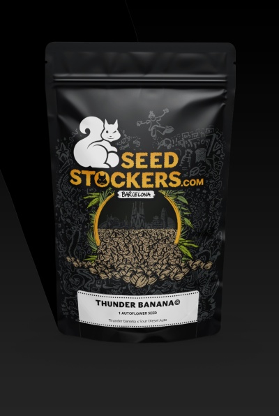 картинка Thunder Banana Auto от магазина Semki